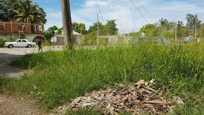 En muchas áreas públicas, donde los desechos sólidos se acumulan por días y semanas