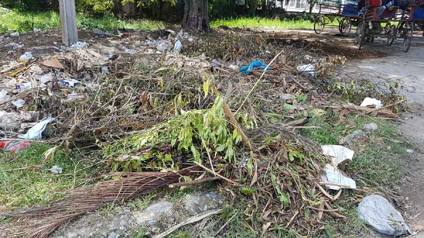 En muchas áreas públicas, donde los desechos sólidos se acumulan por días y semanas