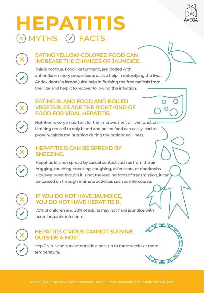 Hepatitis: myths and facts