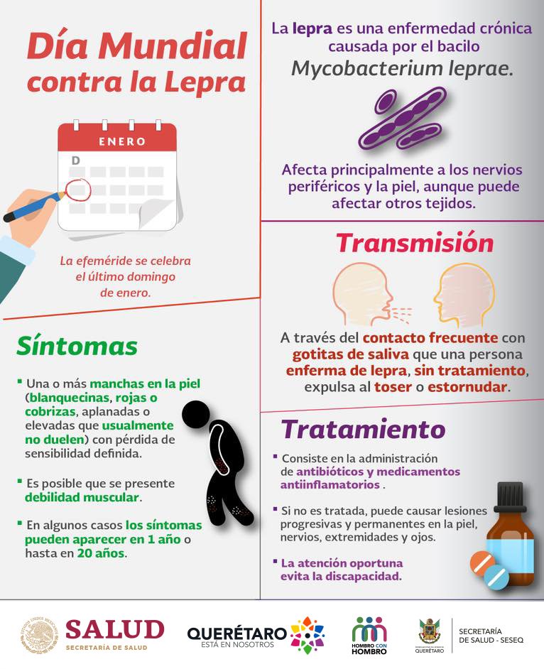 infografía lepra