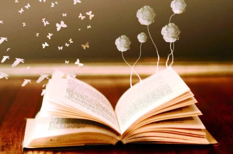 hábito de lectura