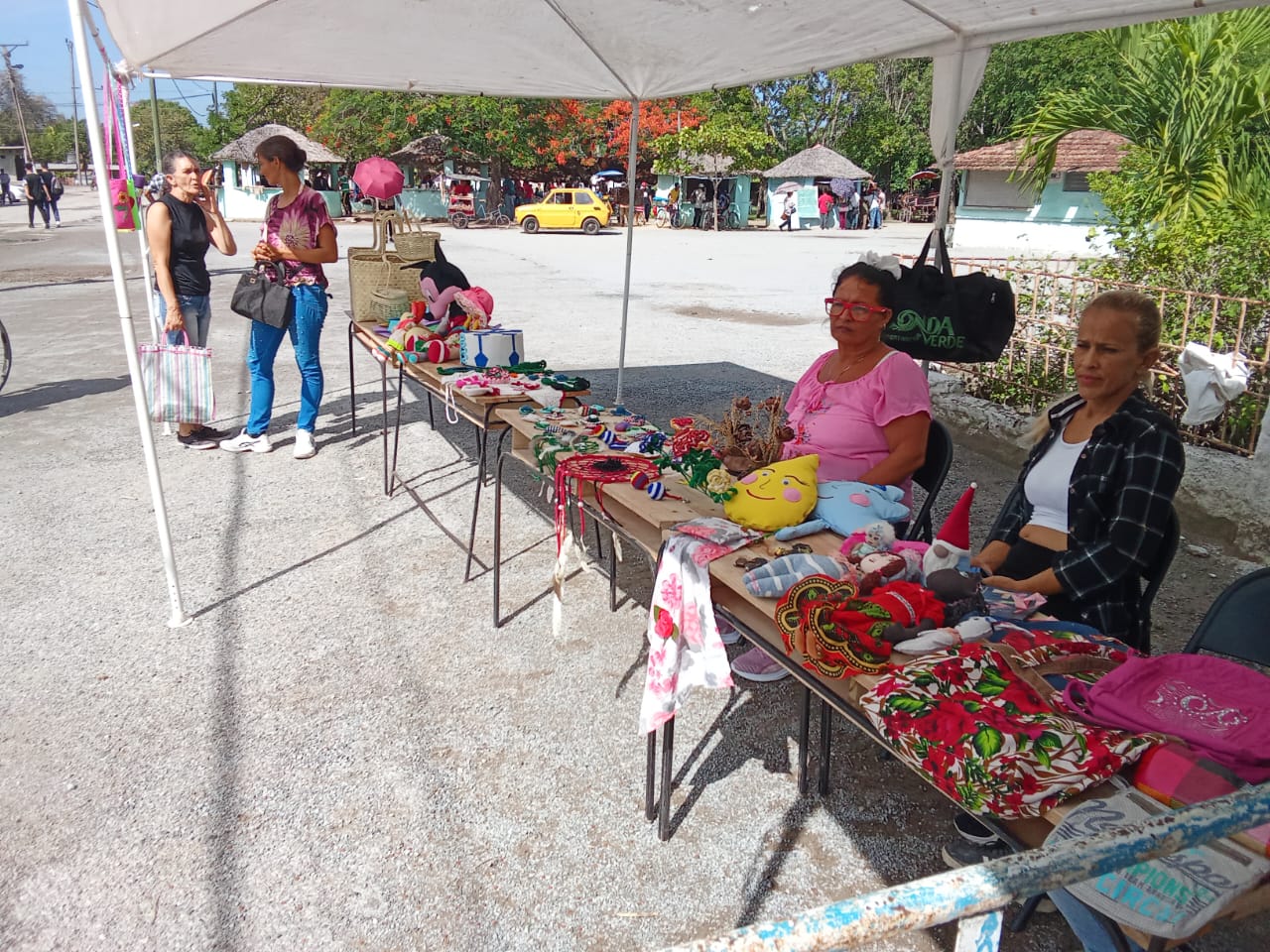 proyecto desarrollo local Majibacoa 7