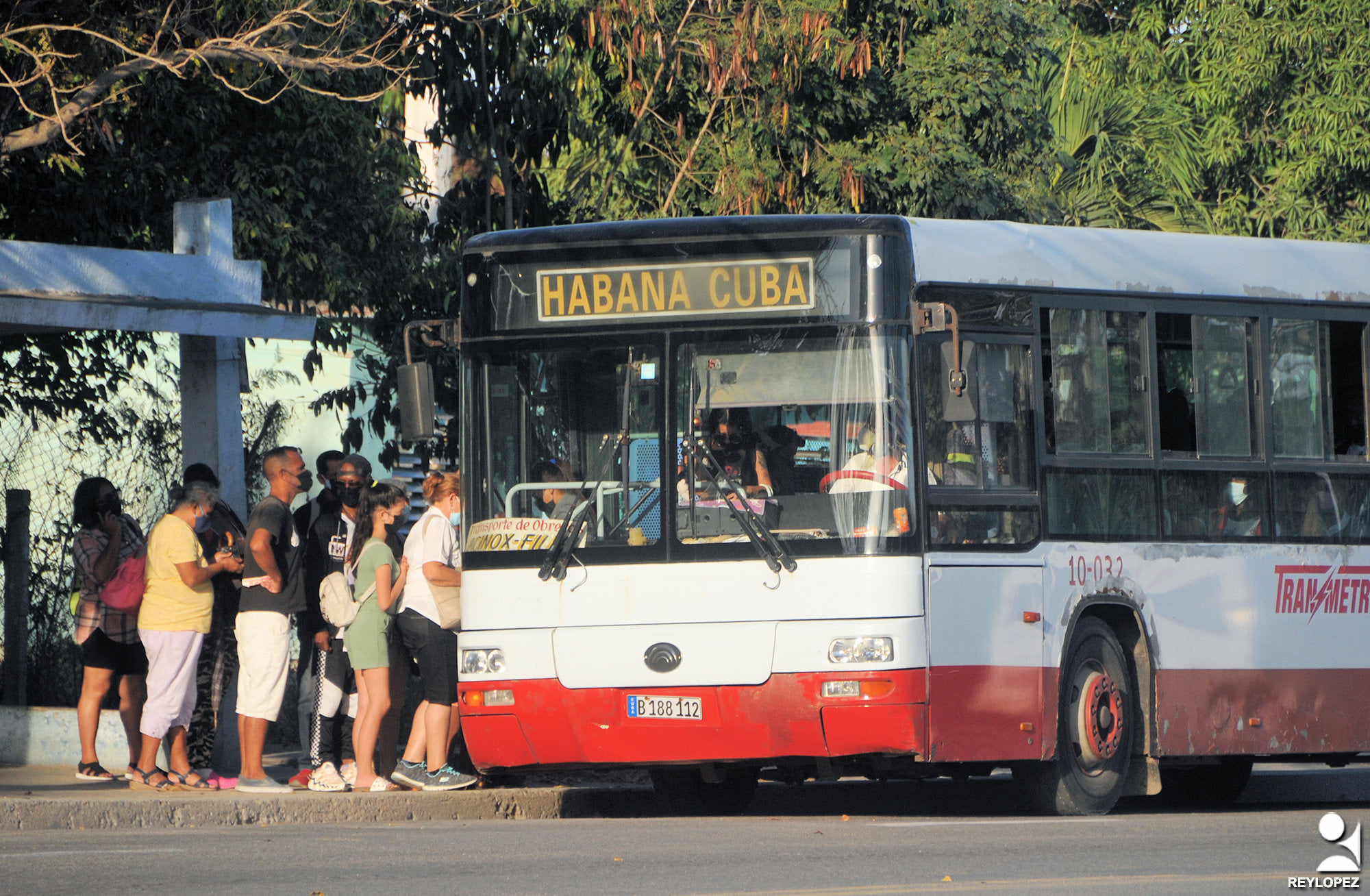 transporte lastunas rey 4