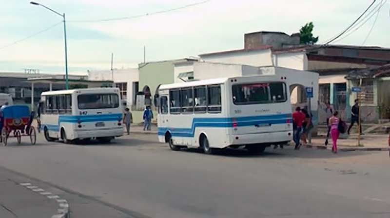 transporte urbano las tunas 1