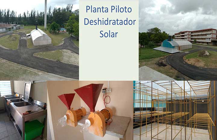 El auge de la ULT en la última década supone las bases en cuanto a la necesidad de cultivar la investigación en las disímiles faenas de la vida cotidiana