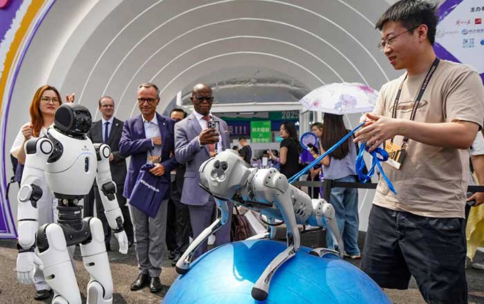 A staff member controls a robot dog to move an exercise ball at the 2025 Inclusion Conference in the Shanghai  Bund.