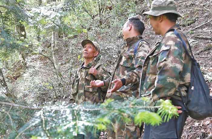 Yu Jianhua (far left) is on patrol in the Baima Snow Mountain Nature Reserve, southwest China's Yunnan province.