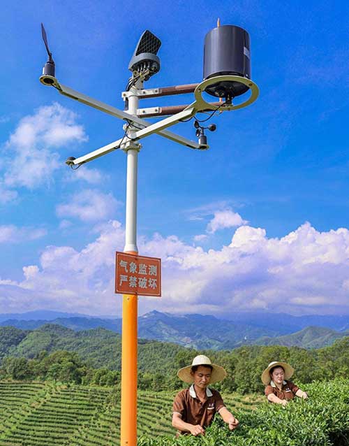 Meteorological monitoring device in a tea garden in Cangwu county, Wuzhou, south China's Guangxi Zhuang autonomous region.