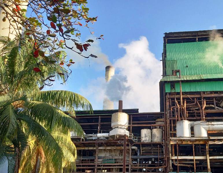 2023-2024 sugar harvest began in Las Tunas