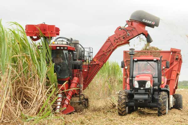 Varios proyectos de inversión extranjera contribuirán al desarrollo del sector azucarero