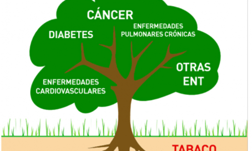 “Mayo de Prevención”: claves sanitarias para preservar la salud