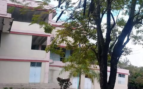 Politécnico XI Festival ofrece cursos de verano a toda la población