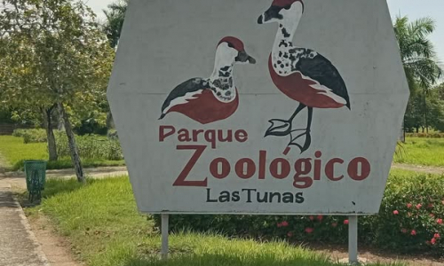 Gobierno Provincial: “Lo ocurrido en el Zoológico de Las Tunas es inadmisible” 
