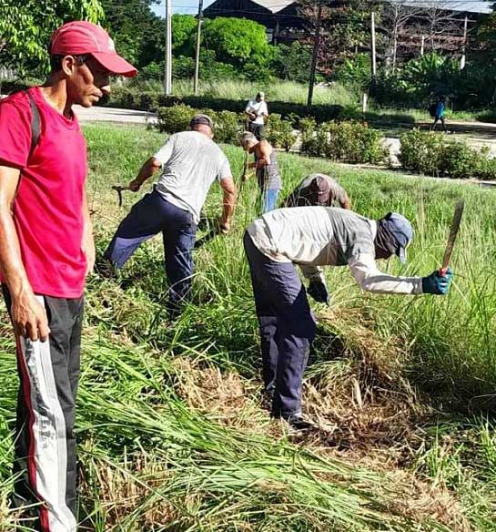 Volunteer work mobilizations in Las Tunas.