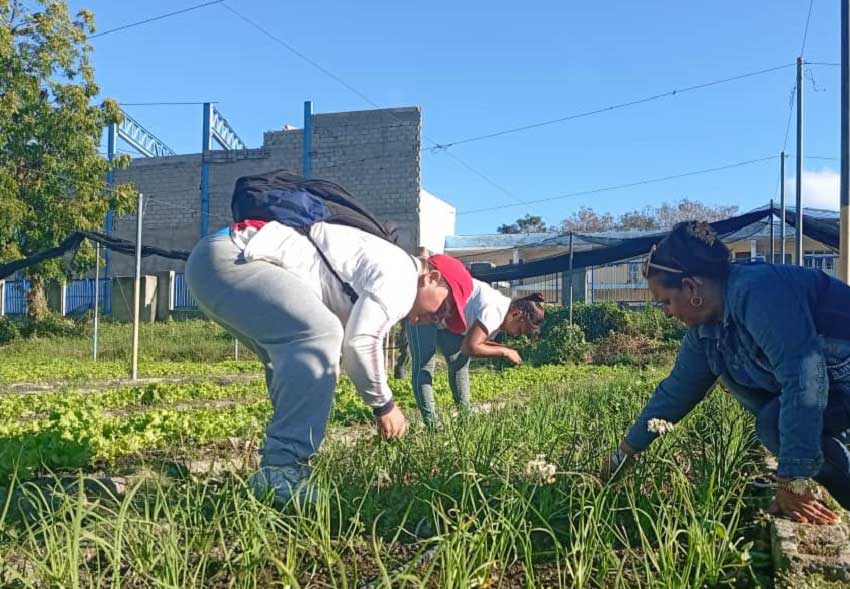 Volunteer work mobilizations in Las Tunas.