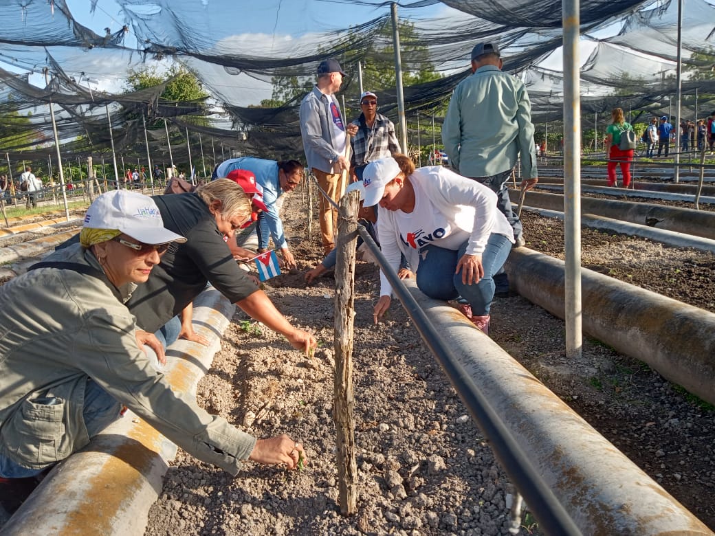 convocattoria primero mayo 2026 1