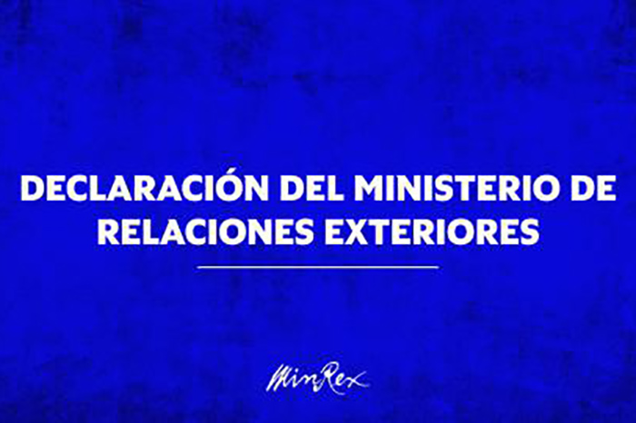0 03 declaracion minrex
