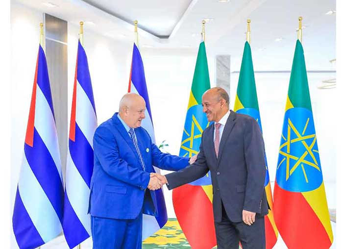 Durante el diálogo exploraron vías para fortalecer la alianza bilateral en múltiples sectores de cooperación.