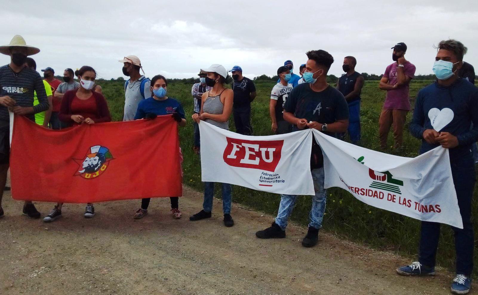 jovenes trabajo voluntario