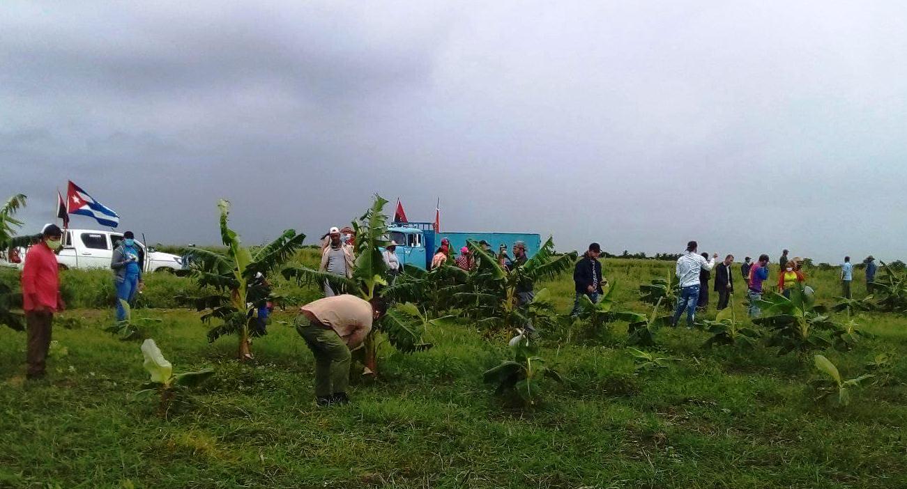 trabajo voluntario fleitas