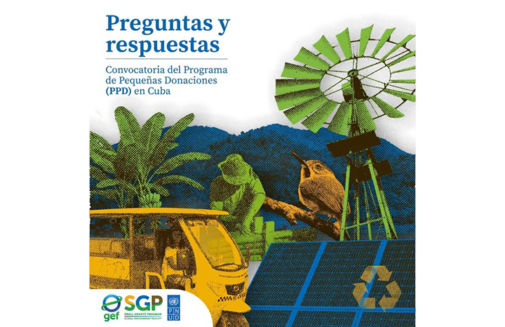 0805 convocatoria pnud