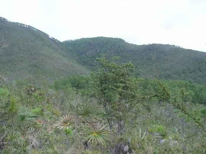 Cuabales de Cajálbana, stretching from one end of the Guaniguanico mountain range to the other