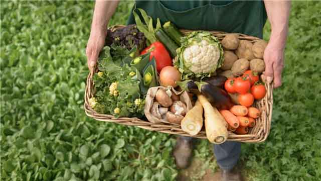 FAO delivered 514 kilograms of seeds of different crops  to Pinar del Río