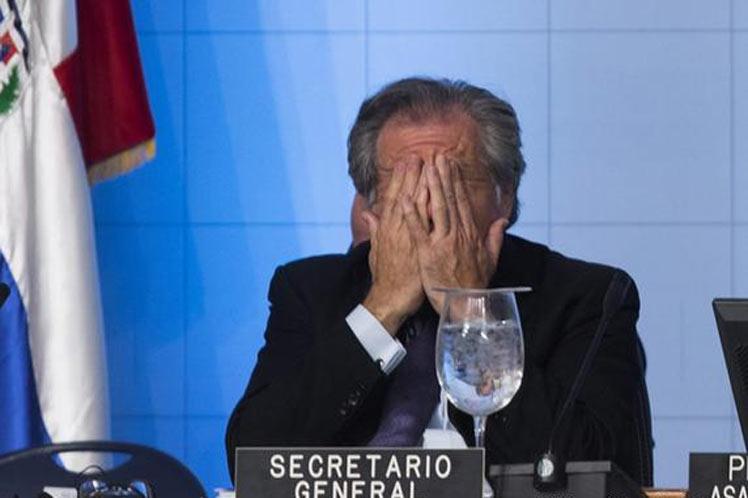 luis almagro