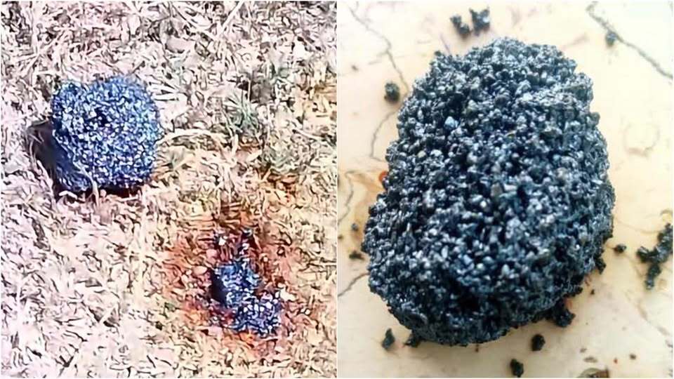 meteorito Pilón