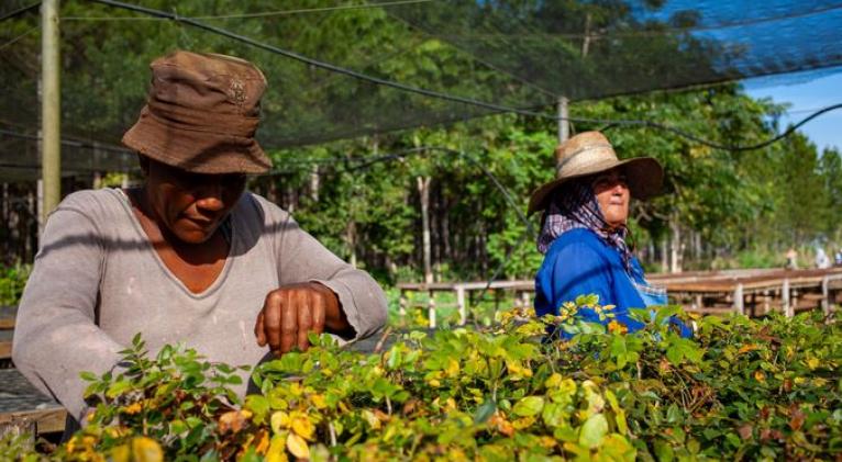 mujer rural fao