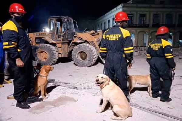 Canine unit of the National Special Brigade