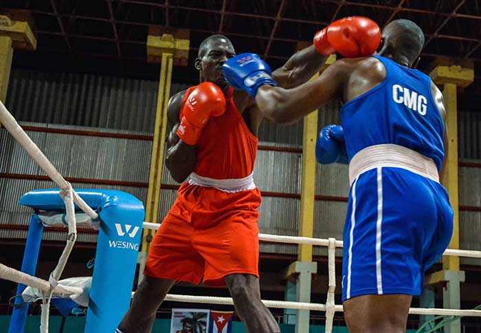 boxeo copateofilo 18
