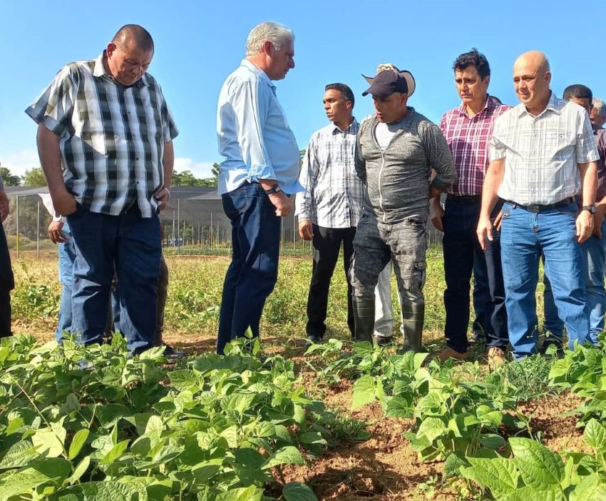 The President visited La Fe integral farm