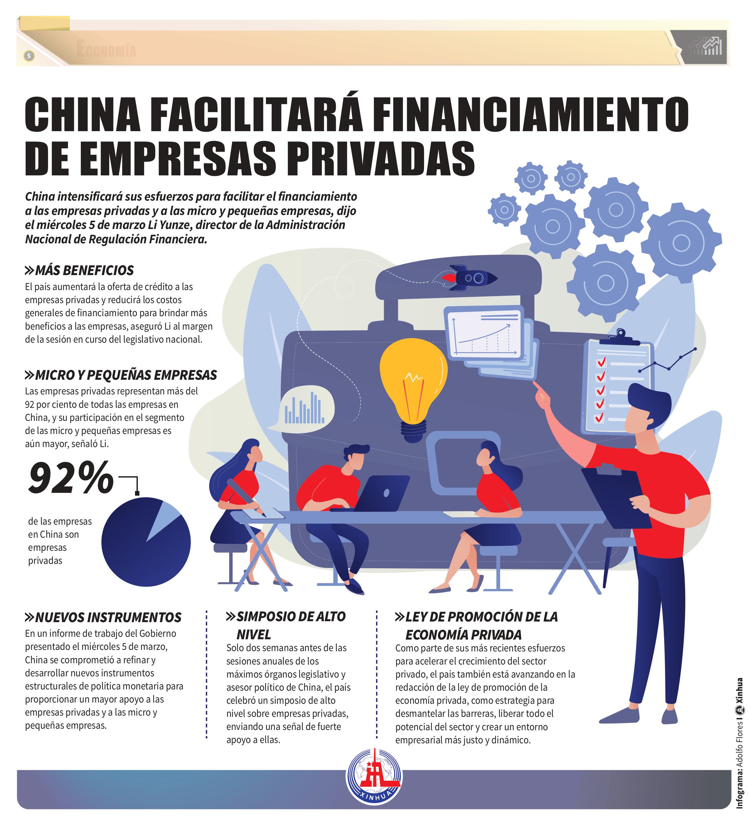 China empresas privada infografia xinua