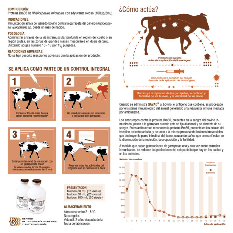 uso gavac cmg 2 768x768