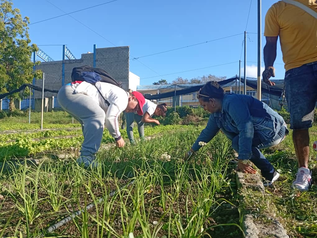 Lossurcos1 Trabajo Voluntario Aniversario triunfo de la Revolución CTC