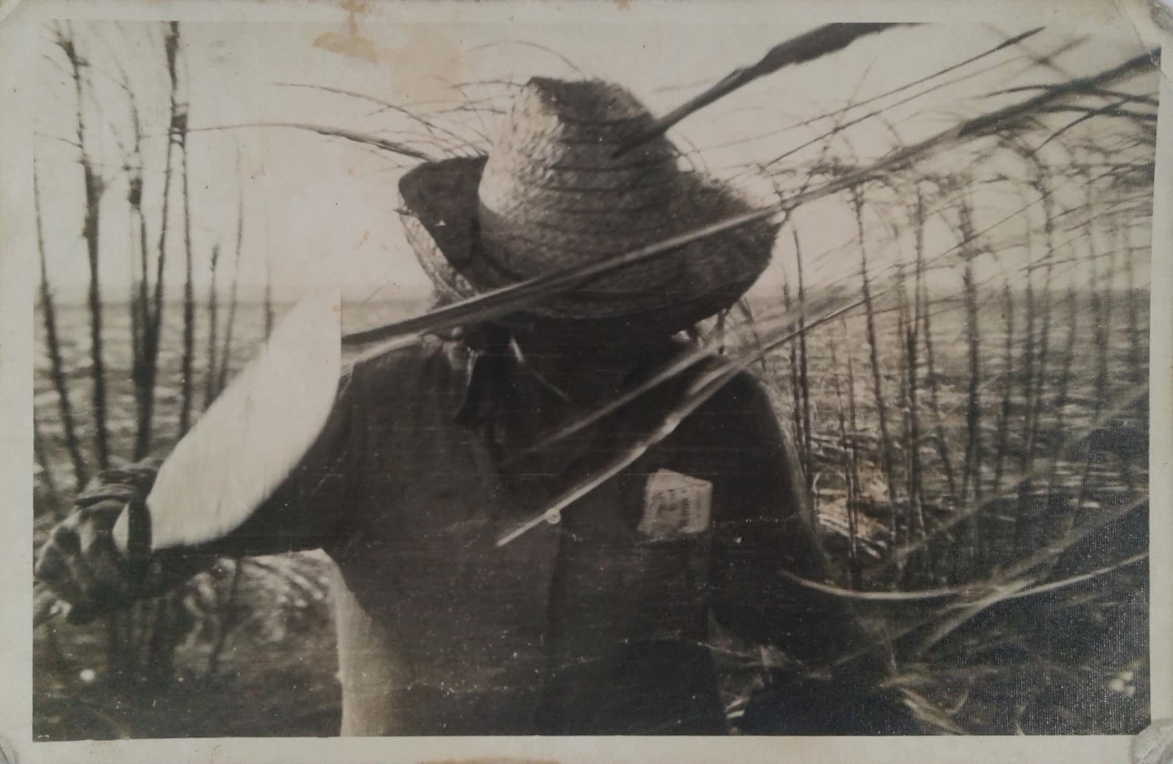 Petronila, the cane cutter.