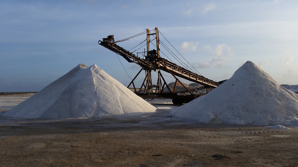 salinera las tunas rordanis 1