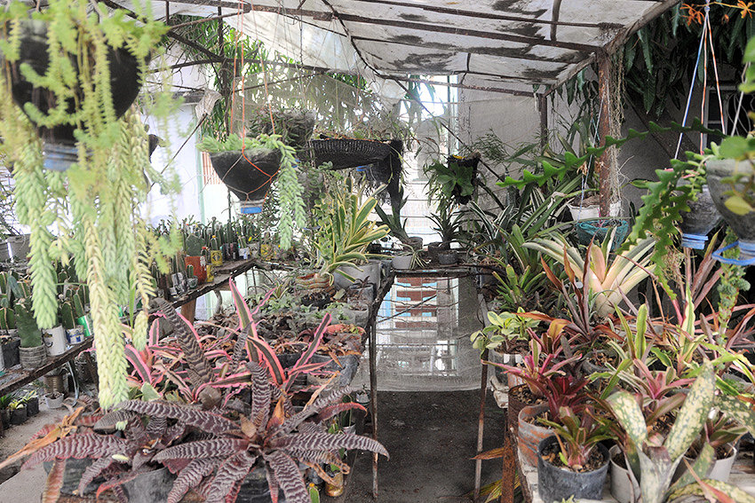 Waldo's nursery.