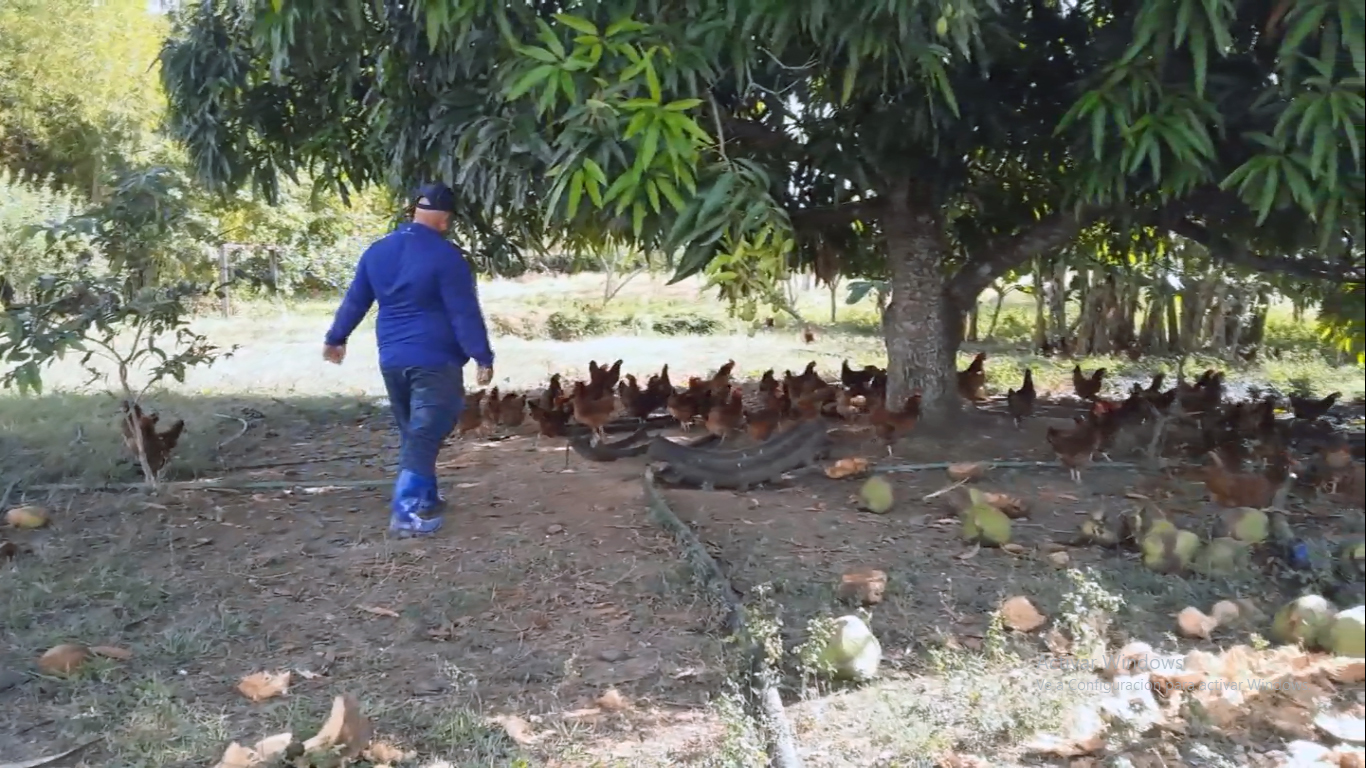 Junior Pérez Santos jefe colectivo laboral agropecuario sito piedra foto migueldn 3