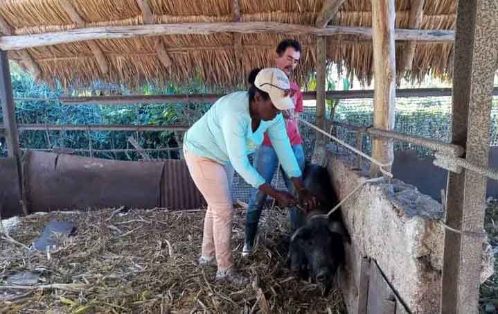 Doctora en Ciencias Veterinarias María Caridad González Borlet