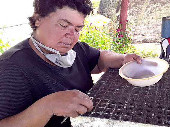 Maritza Armas Rodriguez