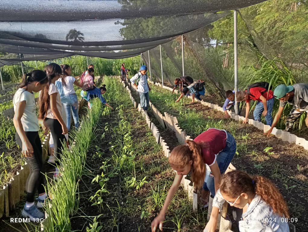 Movilizaciones dia mundial alimentacion 3
