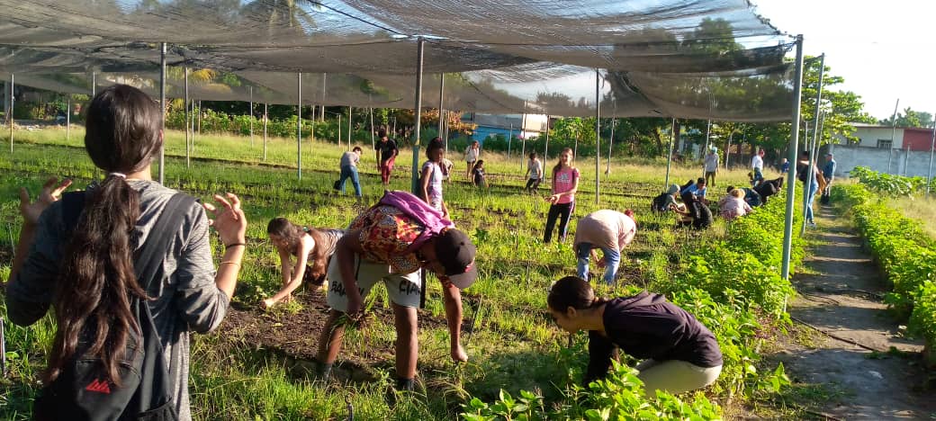 Movilizaciones dia mundial alimentacion 4