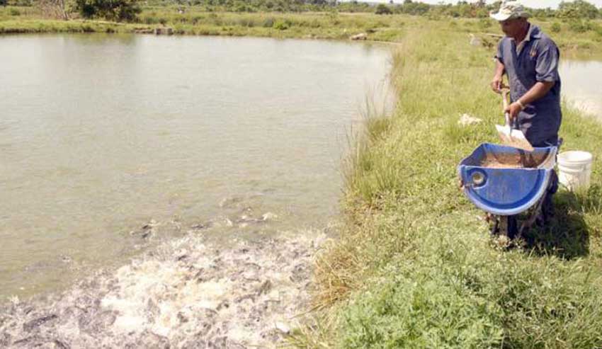 The family aquaculture is promoted in Las Tunas