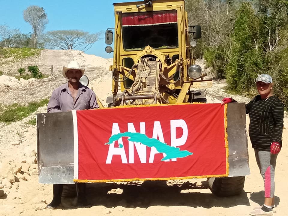 anap yenima 2
