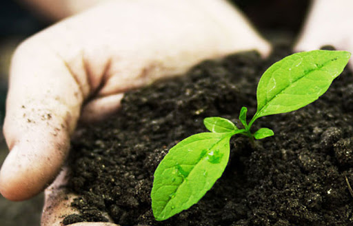 biofertilizantes
