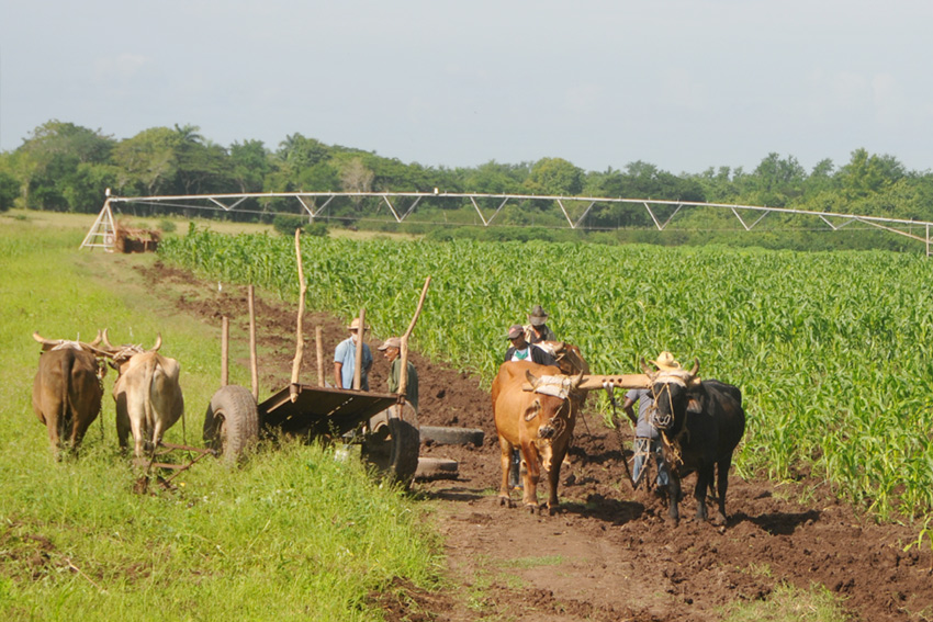 Increase food production, challenge and commitment of agricultural workers
