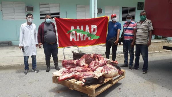 donativo campesinos 1