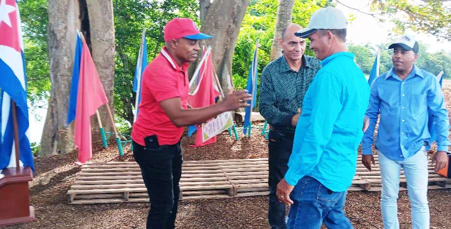 En los surcos tuneros siembran esperanza 2 inicio campa de siembra de frío Las Tunas 1